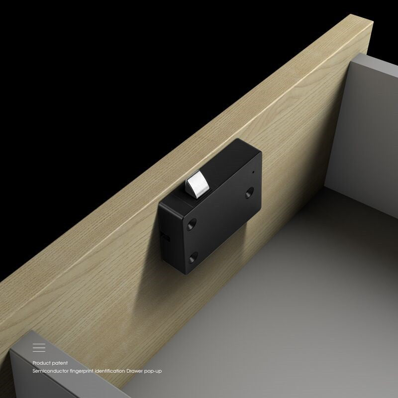 Intelligent Electronic Fingerprint Cabinet Lock - My Store